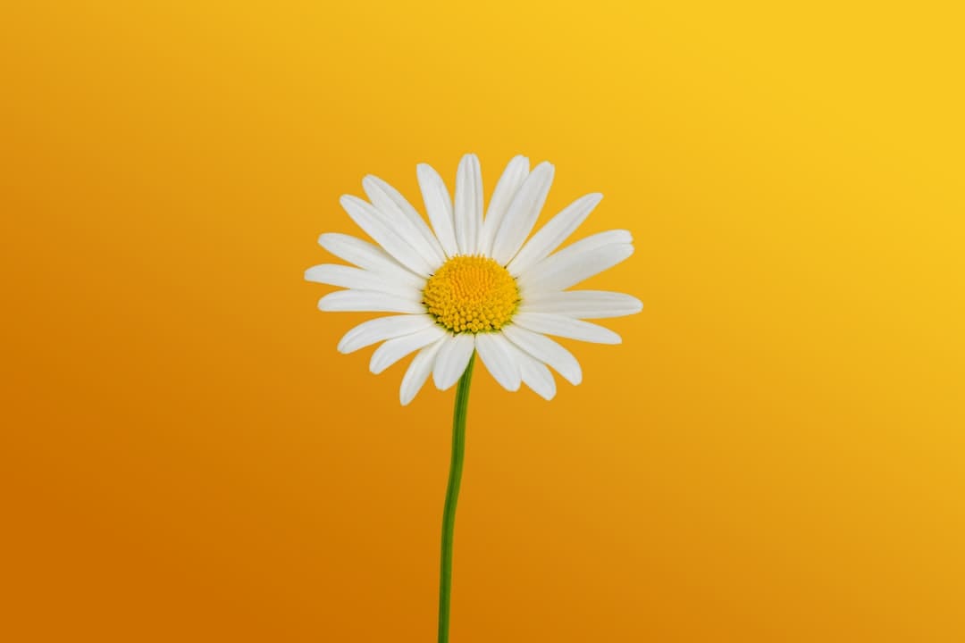 核桃仁做菜的菜谱